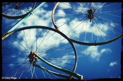 59-bike-wheels.jpg