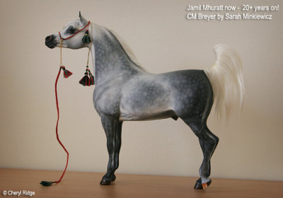 0018- A Breyer Proud Arabian Stallion customised by Sarah Minkiewicz, USA