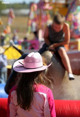 2761-rodeo-mbull.jpg