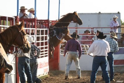 2857-rodeo-bronc.jpg