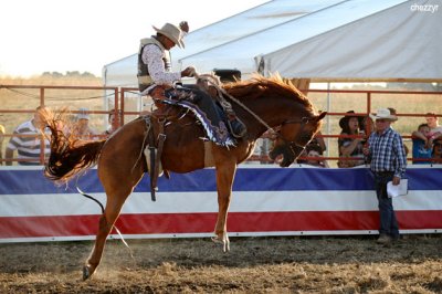 2860-rodeo-bronc.jpg