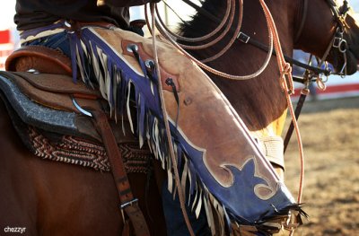2873-rodeo-chaps.jpg