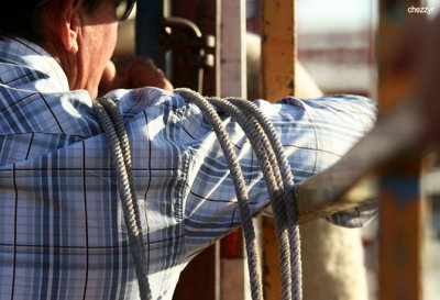 2879-rodeo-rope.jpg