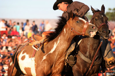 2906-rodeo-bronc.jpg