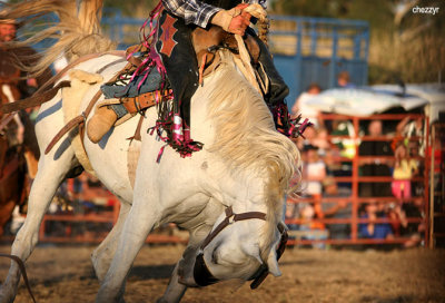 2918-rodeo-bronc.jpg