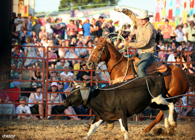 2937-steer-roping.jpg