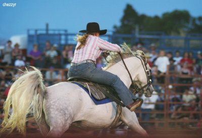 3033-rodeo-barrelracer.jpg