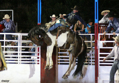 3247-rodeo-bronc.jpg