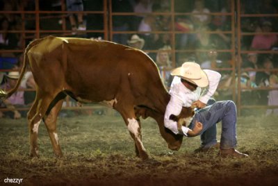 3272-steer-wrestling.jpg