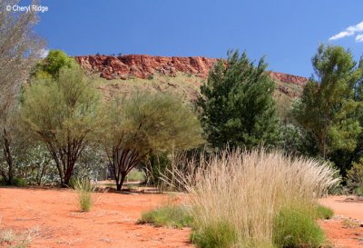 0163b- Alice Springs Desert Park