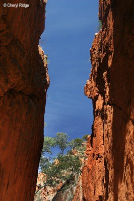 0133-standley-chasm.jpg