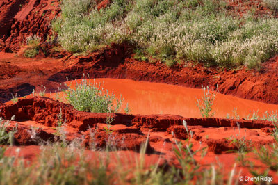 0035- red waterhole on way to kings canyon