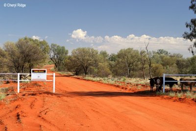 0015-cattle station on way to uluru