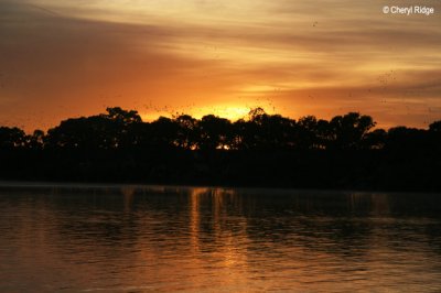 0013-mannum-sunrise.jpg