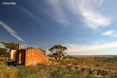 0030-bowhill-ruins.jpg