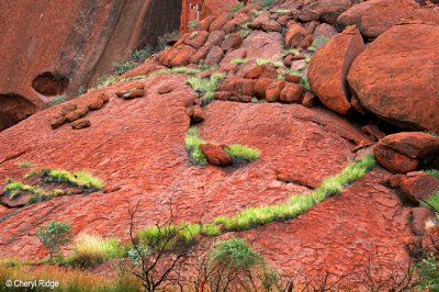 0081-uluru-detail.jpg