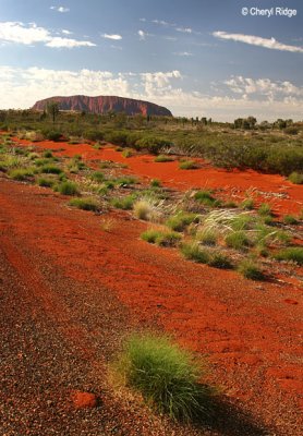 0063b-uluru-morning.jpg