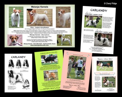 Samples of ads I have designed for dog breeders and exhibitors