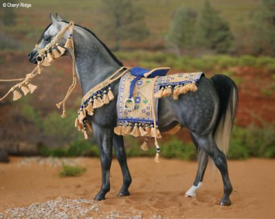 7313- Mon Nafa Rani in native Arabian costume