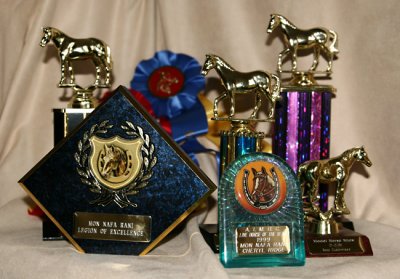 some of Mon Nafa Rani's awards won over the years