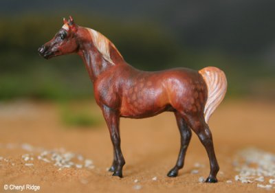 Breyer Stablemate Arab CM by Shannon Stockton