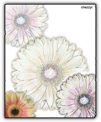 floral arty #2 (four gerberas)