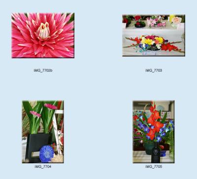 flowers