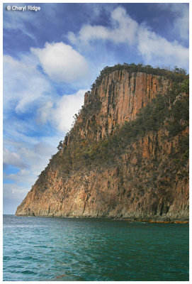 6017 - Bruny sea cliffs