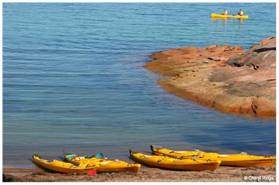 6211- Honeymoon Bay kayaks