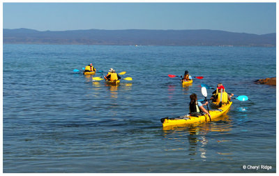 6234 - Honeymoon Bay kayaks
