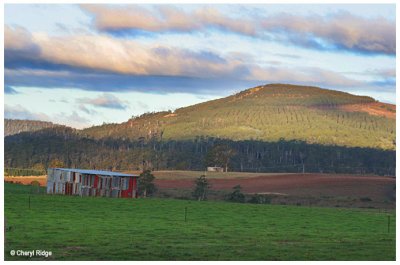 6347 - farmland on way to Launceston from east coast