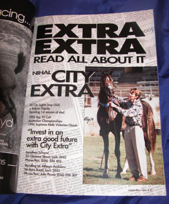 Arabian Horse News - photo in ad