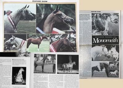 Arabian Horse Express magazine - show coverage and veteran parade photos