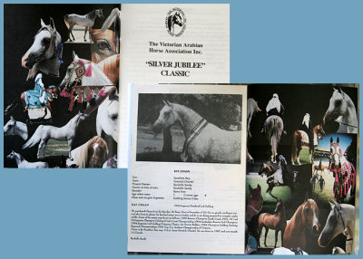 Vic Arab Horse Classic souvenir show program - photo montage and more