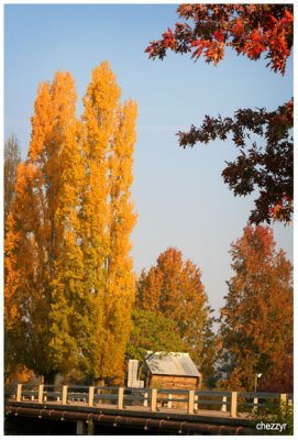 6847 myrtleford