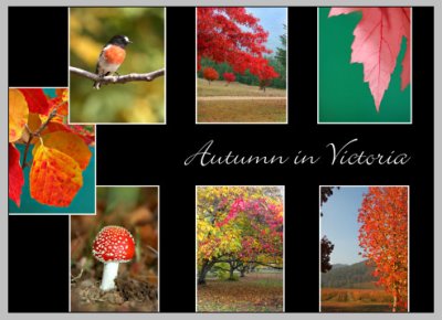 Autumn in Victoria card design