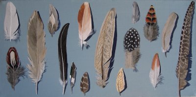 feathers.JPG