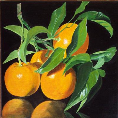 saville oranges_2572.JPG