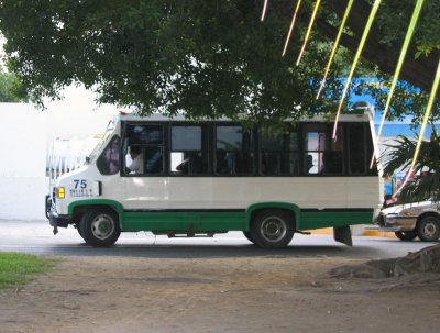 Ixtapa Bus.jpg
