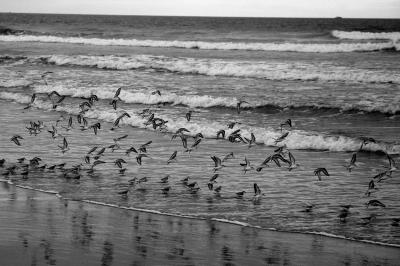 scattered