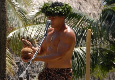 flying coconuts.jpg
