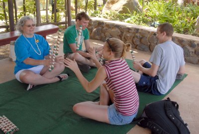 new zealand flying sticks.jpg