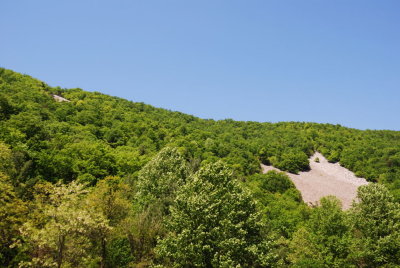 second talus2.jpg