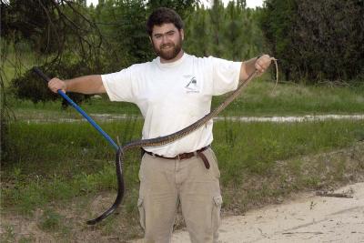 Me with a big coachwhip after another long day