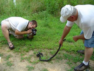 Photographing Snakes is Fun!