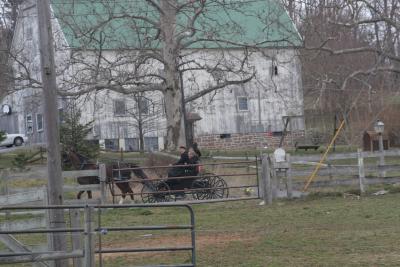 Amish Teens Saying Hello
