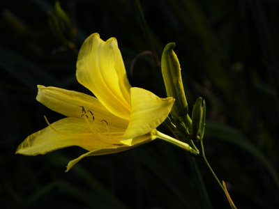 g3/24/533224/3/88307435.j5D5TCP0.jpg
