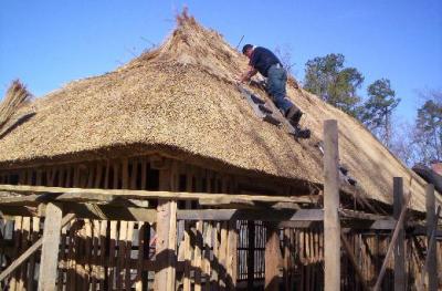 Thatch03.jpg