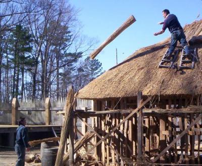 Thatch04.jpg