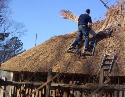 Thatch05.jpg
